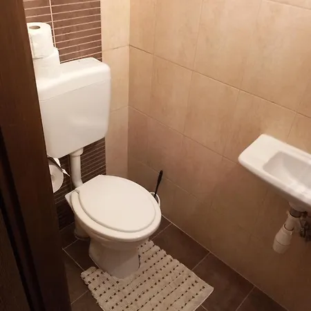 Roli Nyíregyháza